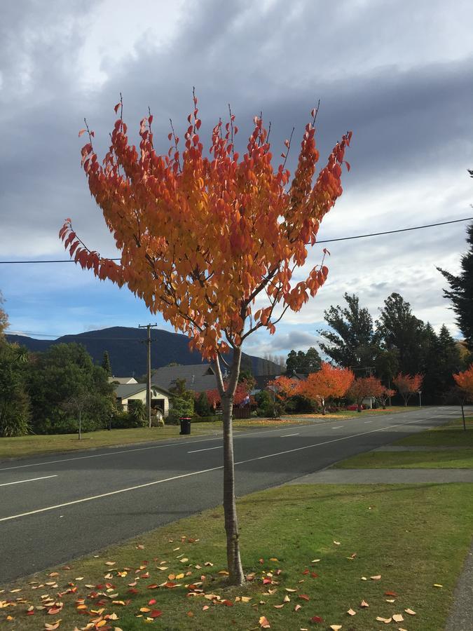 Shakespeare House Bed & Breakfast Te Anau Exterior photo